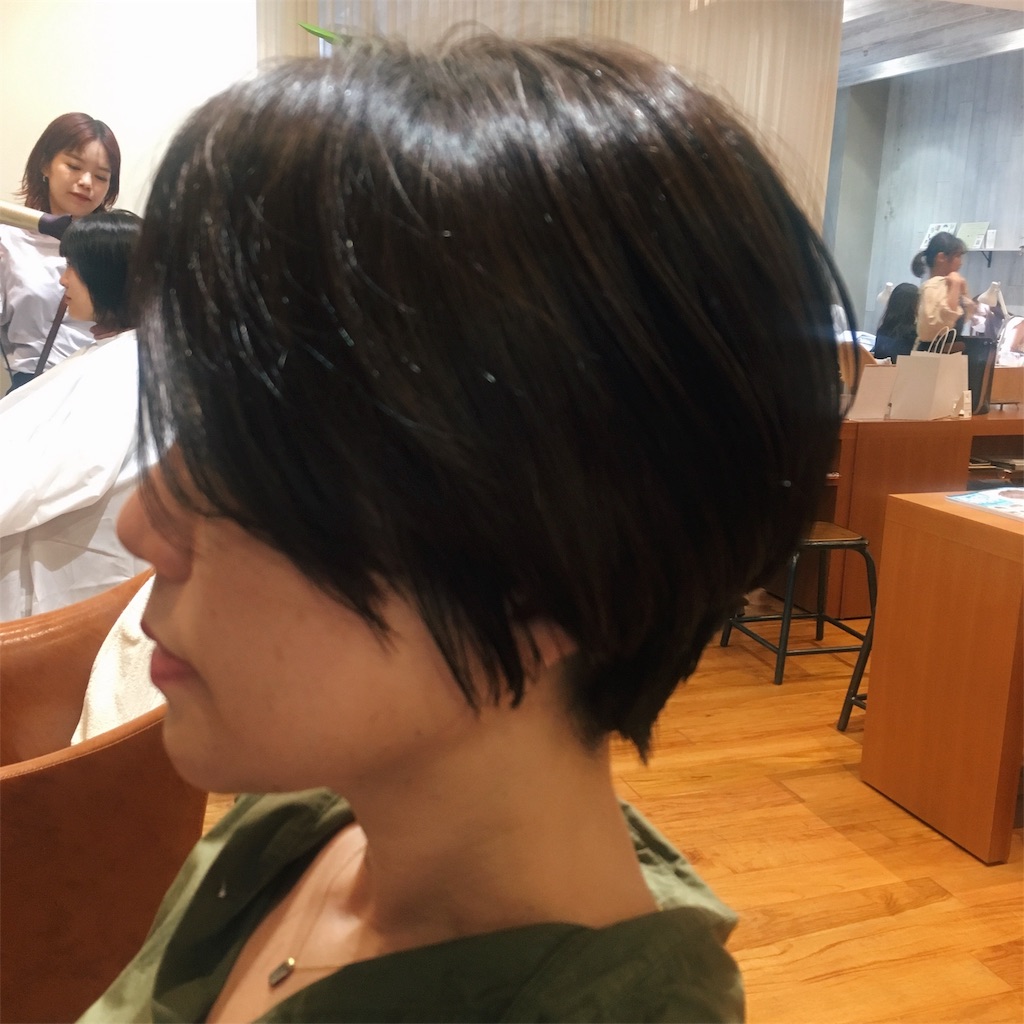 f:id:rittci:20190831211322j:image