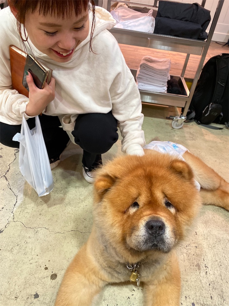 f:id:rittci:20191029210500j:image