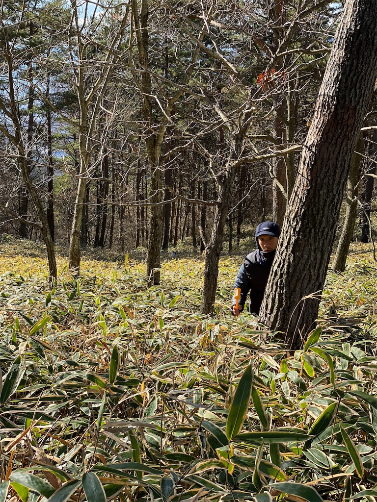 f:id:rittci:20191205190738j:image