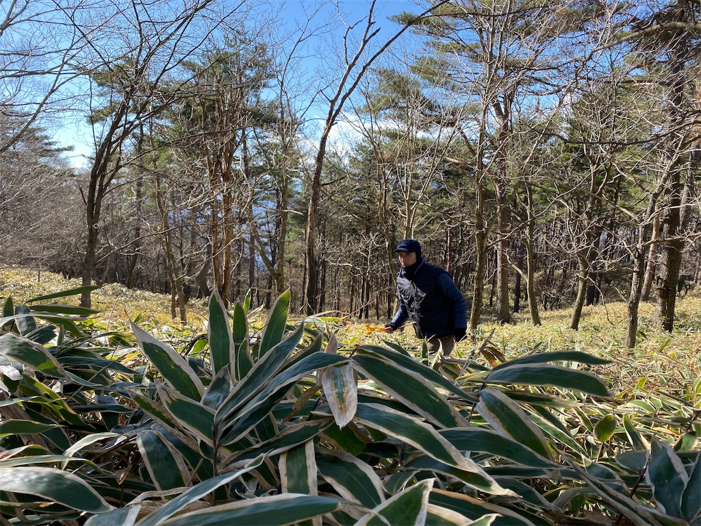 f:id:rittci:20191205190749j:image