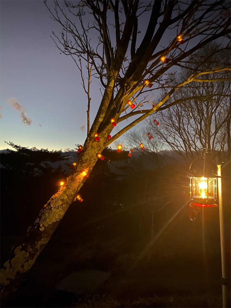 f:id:rittci:20191205191251j:image