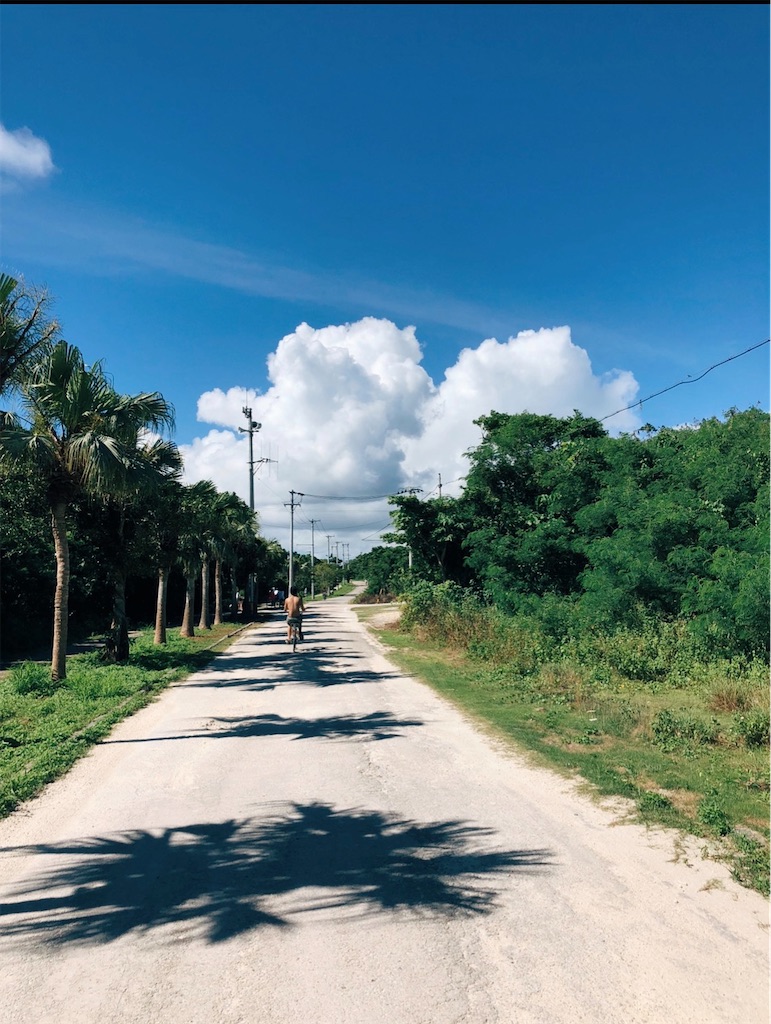 f:id:rittci:20200121211646j:image