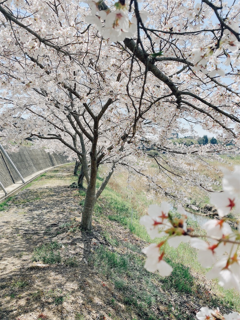 f:id:rittci:20200416104347j:image f:id:rittci:20200416104347j:image