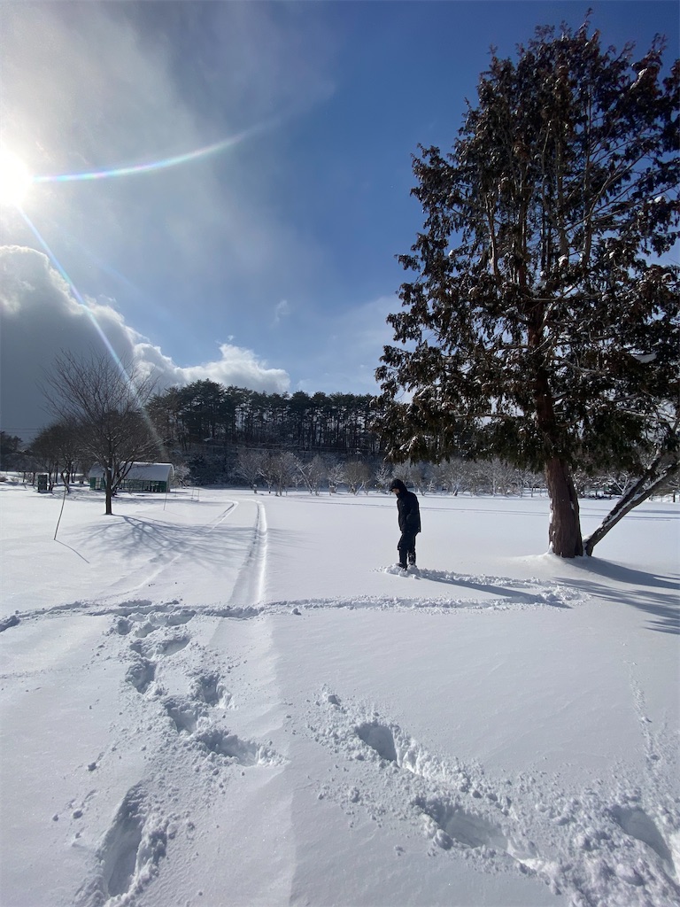 f:id:rittci:20210223175427j:image