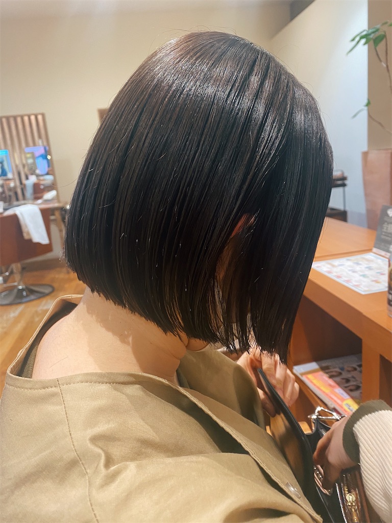 f:id:rittci:20210314173558j:image