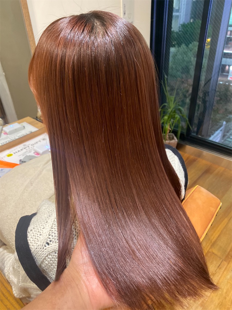 f:id:rittci:20210314173637j:image