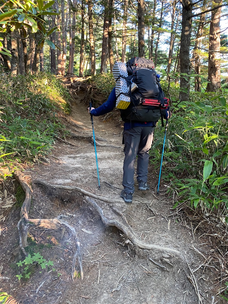 f:id:rittci:20210730144408j:image