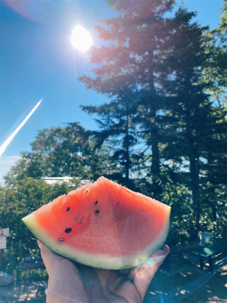 f:id:rittci:20210730144416j:image