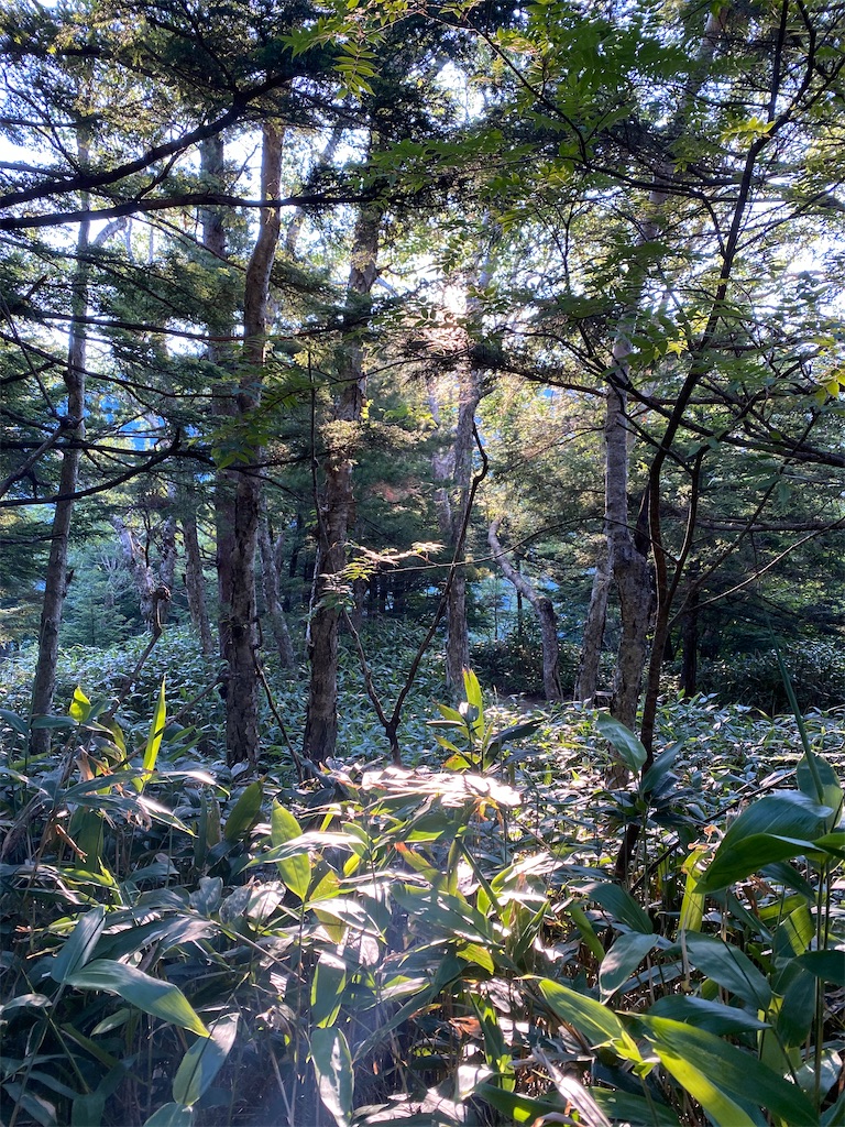 f:id:rittci:20210730144424j:image