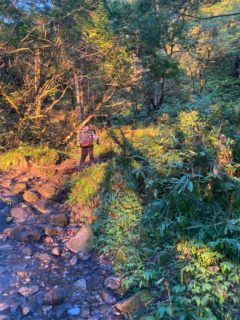 f:id:rittci:20211002071829j:image