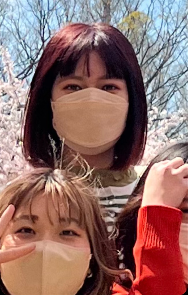 f:id:rittci:20220411222406j:image