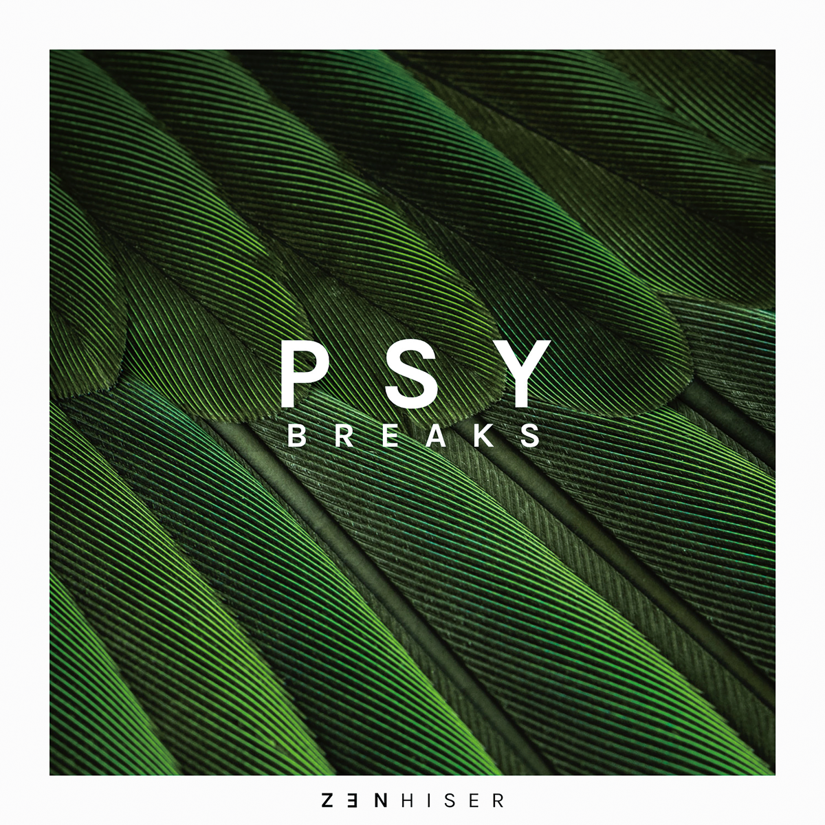 Zenhiser Psy Breaks ライブラリー レビュー サイケデリックな音像に特化した素材集 サンレコ 音楽制作と音響のすべてを届けるメディア