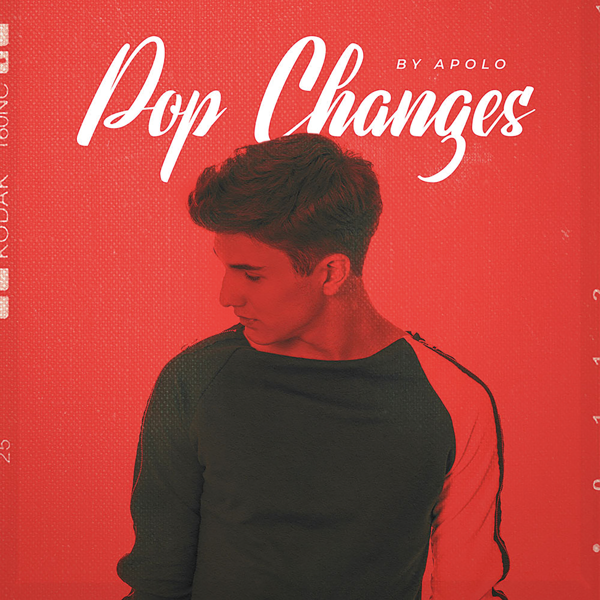 DIGINOIZの「POP CHANGES BY APOLO」