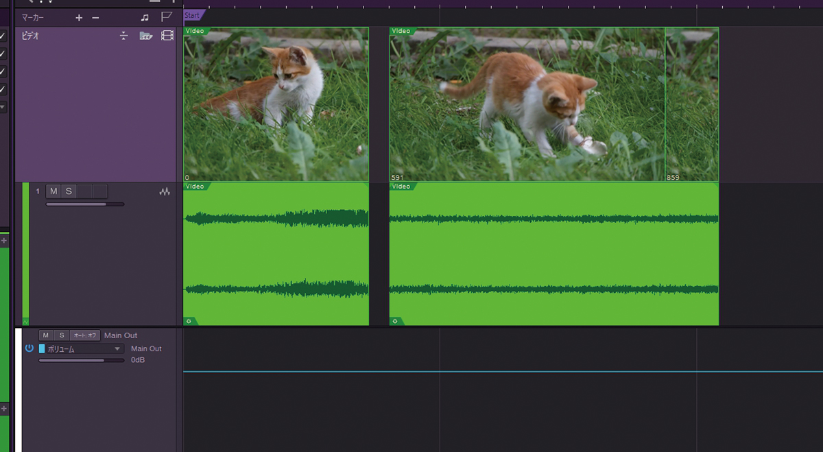 ビデオ・トラック。稽古映像は関係者のみに共有されるものなので、猫の映像をインポートしてスクリーンショットを撮影した。インポートがドラッグ&ドロップだけで完了するように、映像に関する特別な知識がなくても扱いやすいのが特徴。映像の編集や編集結果の書き出しまで行えるため、例えばちょっとしたYouTube用ムービーを作りたいときにも便利だ