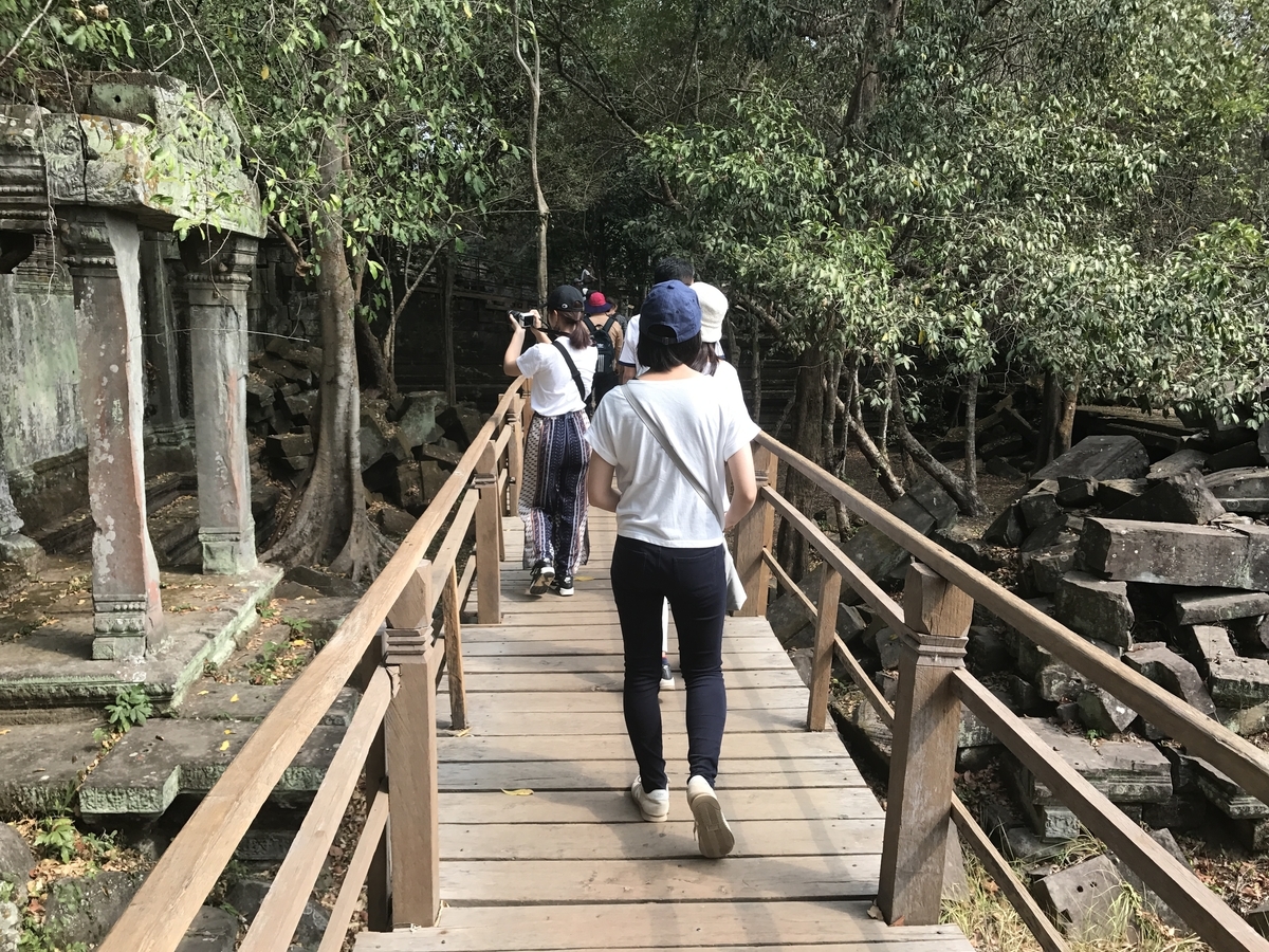f:id:riverdancekh:20190317133130j:plain