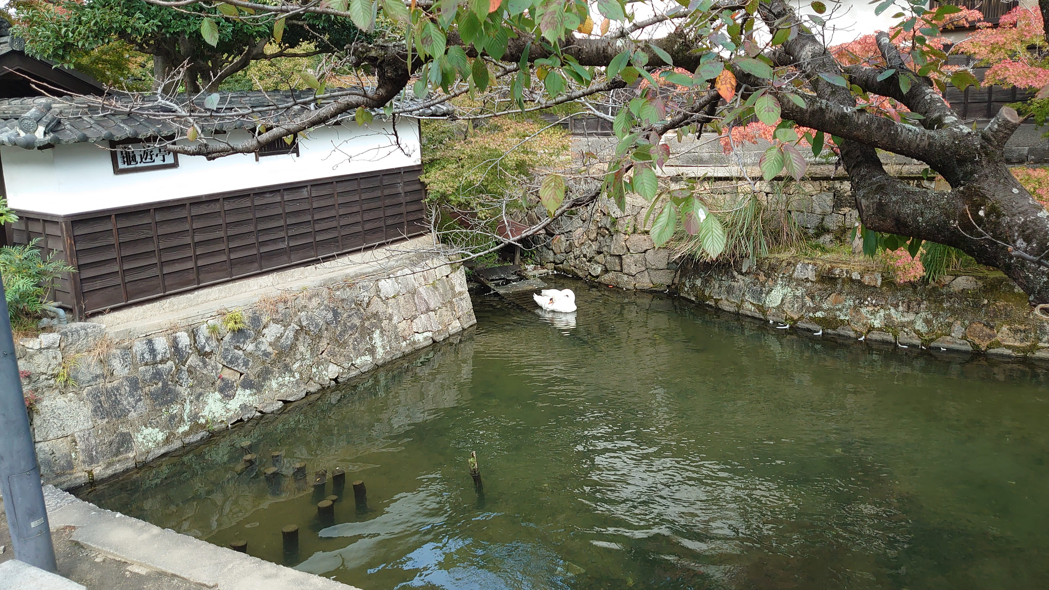 f:id:riverman_k:20211101161204j:plain