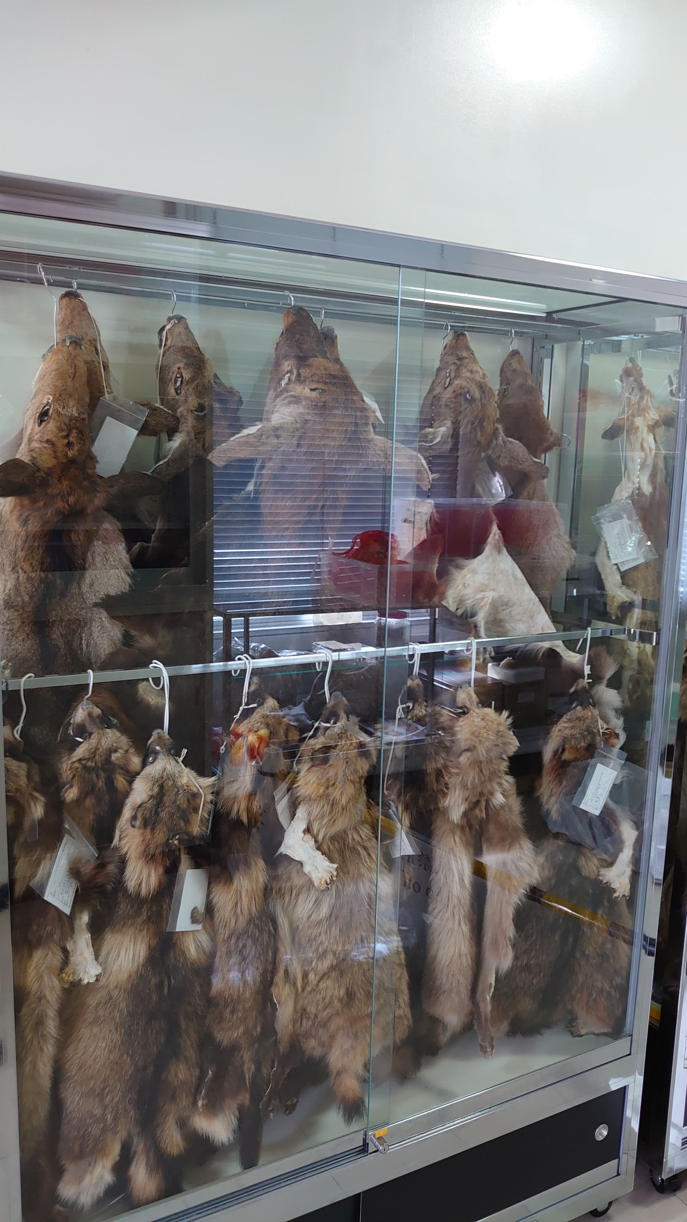 f:id:riverman_k:20211101172508j:plain