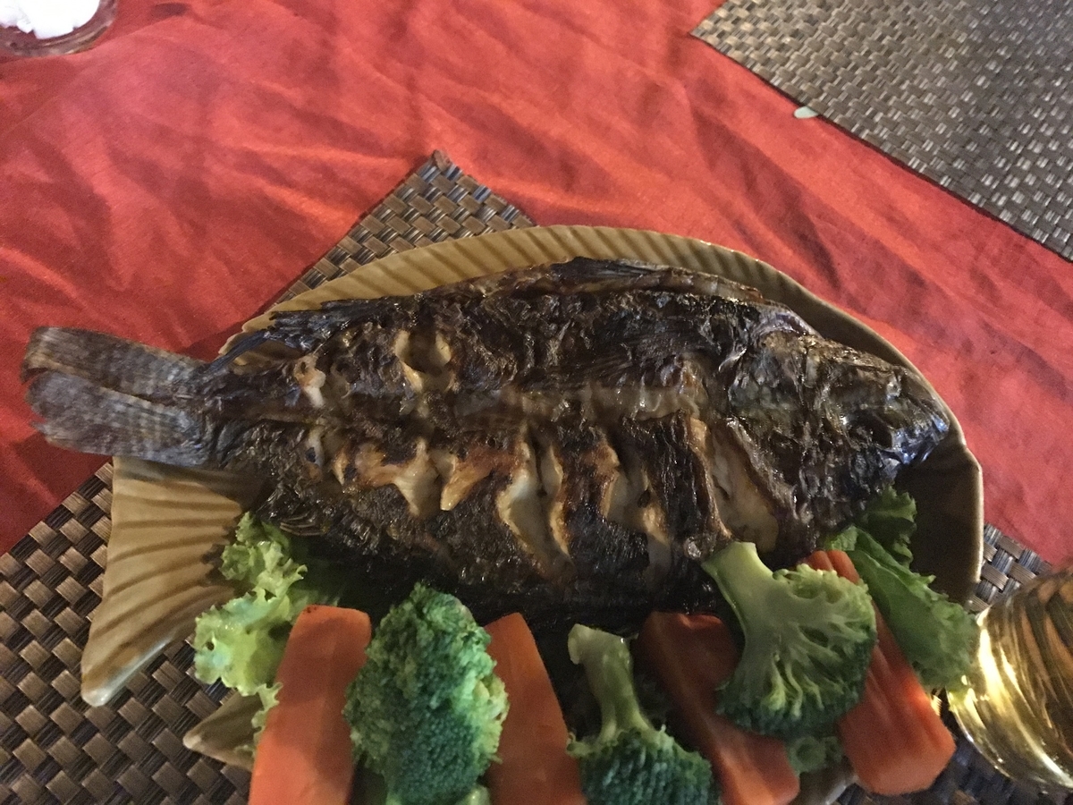 f:id:rivershark:20200204015726j:plain f:id:rivershark:20200204015726j:plain