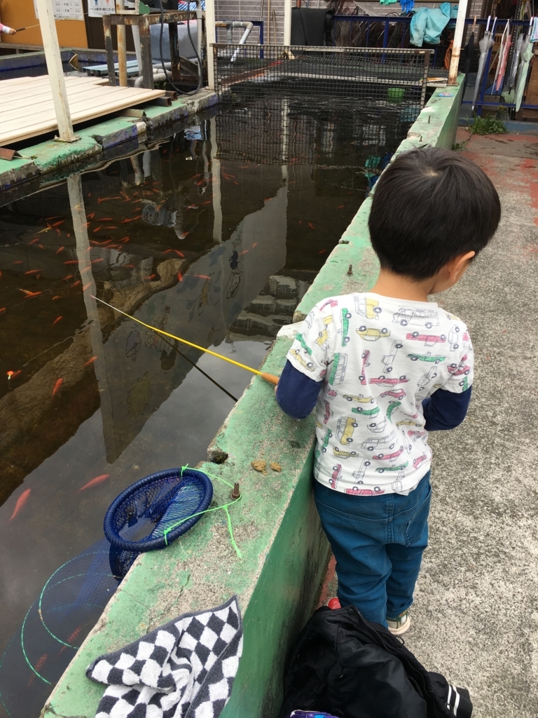 市ヶ谷フィッシュセンターにいってきました 江戸川育児パパ