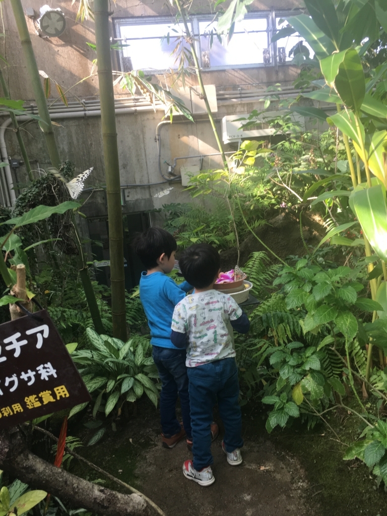 f:id:riverwin33:20180505003112j:plain f:id:riverwin33:20180505003112j:plain