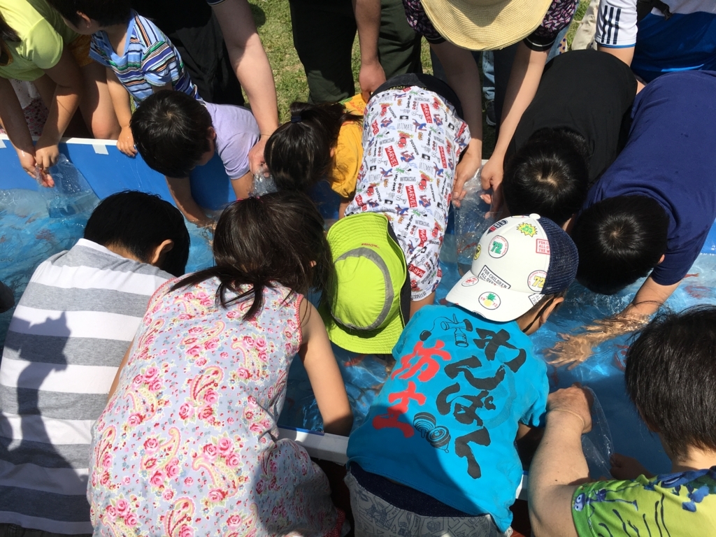 f:id:riverwin33:20180515013243j:plain