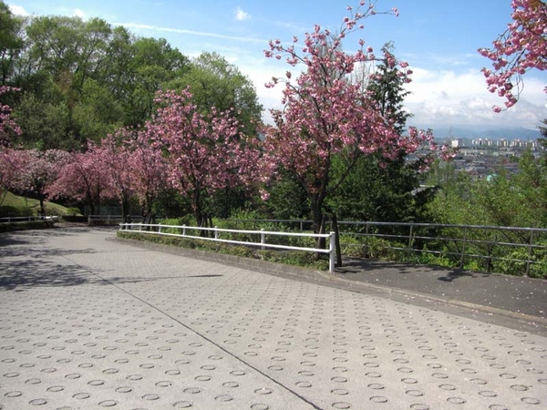 f:id:riyot:20080614173136j:image:h200 f:id:riyot:20080614173136j:image:h200