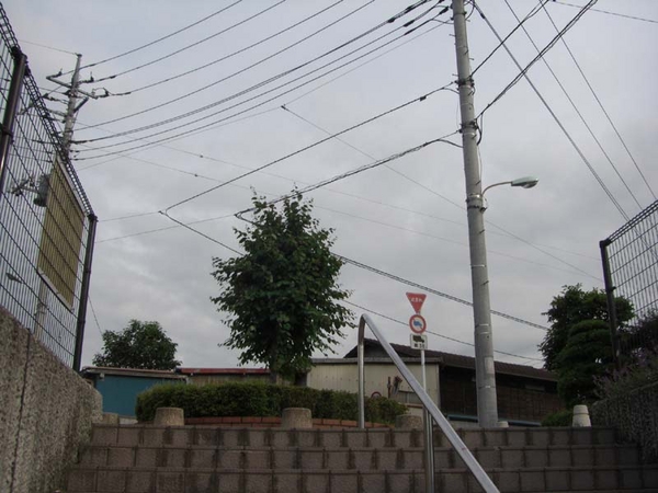 f:id:riyot:20080615130605j:image:h200 f:id:riyot:20080615130605j:image:h200