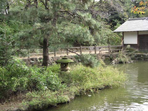 f:id:riyot:20081102221708j:image:w260