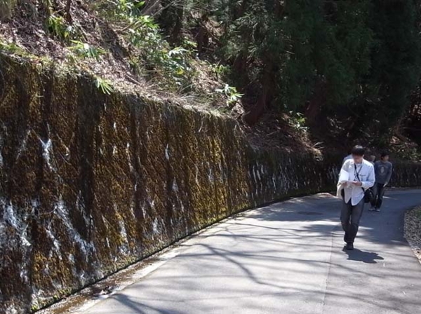 f:id:riyot:20090417003220j:image:w270