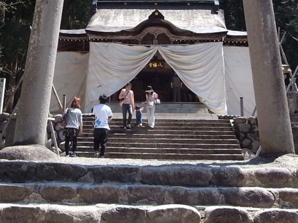 f:id:riyot:20090417003226j:image:w270