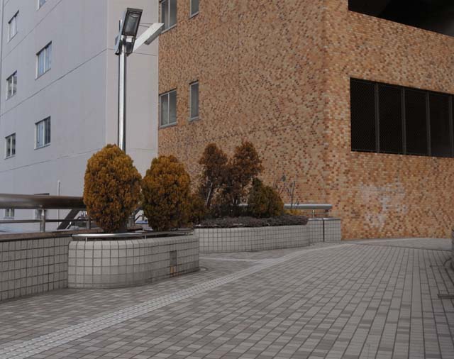 f:id:riyot:20110219191912j:image:w270 f:id:riyot:20110219191912j:image:w270