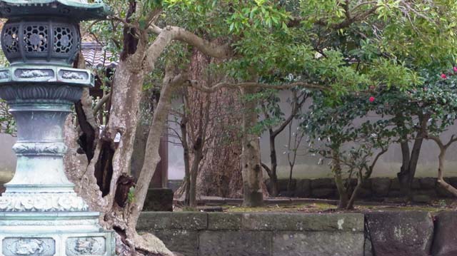 f:id:riyot:20111208202131j:image:w270 f:id:riyot:20111208202131j:image:w270