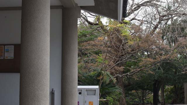 f:id:riyot:20111208202147j:image:w270 f:id:riyot:20111208202147j:image:w270