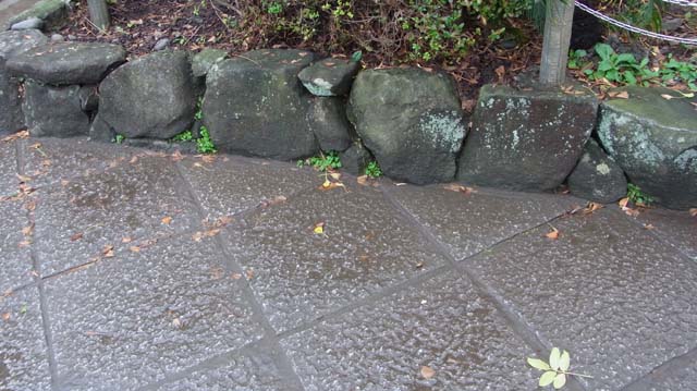 f:id:riyot:20111208202211j:image:w270 f:id:riyot:20111208202211j:image:w270