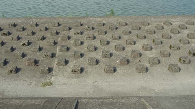 f:id:riyot:20120526221437j:image:w300