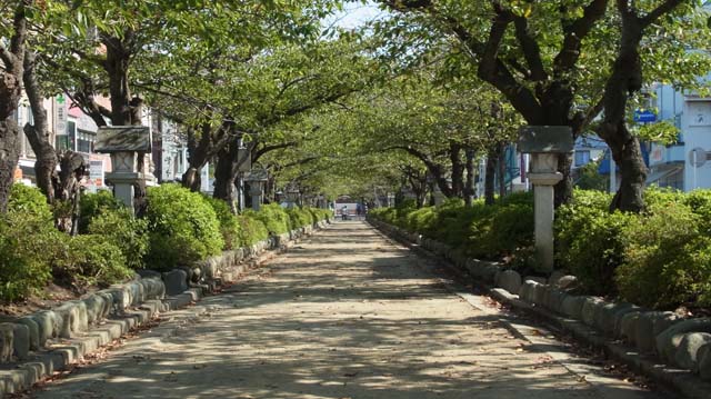 f:id:riyot:20120826165419j:image:w300