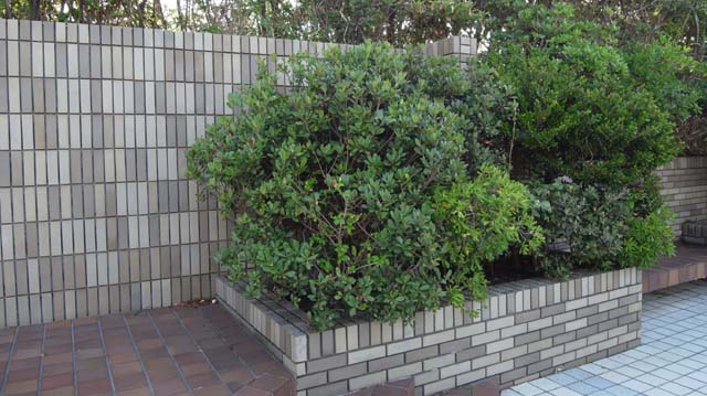 f:id:riyot:20120826165501j:image:w300