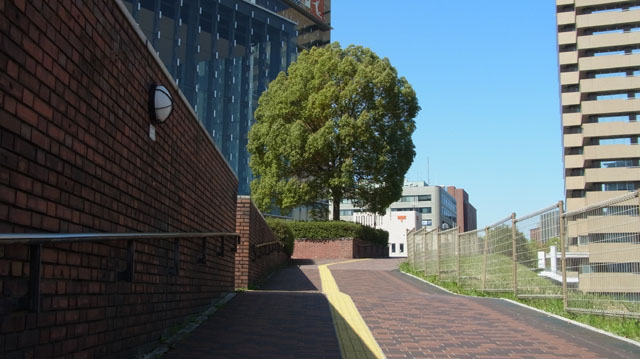 f:id:riyot:20130413164956j:image:w300