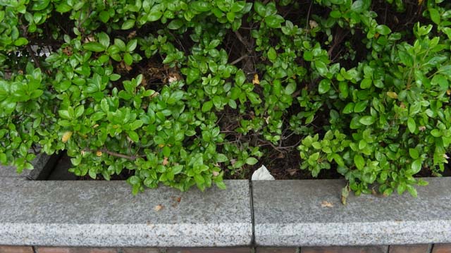 f:id:riyot:20130518202226j:image:w300 f:id:riyot:20130518202226j:image:w300