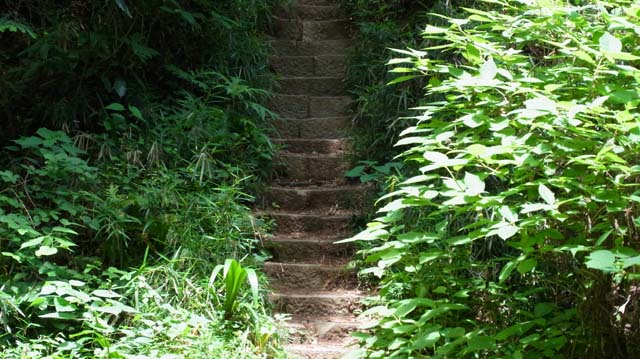 f:id:riyot:20130609184543j:image:w300 f:id:riyot:20130609184543j:image:w300