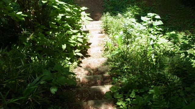 f:id:riyot:20130609184545j:image:w300 f:id:riyot:20130609184545j:image:w300