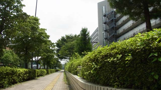 f:id:riyot:20130630195431j:image:w300 f:id:riyot:20130630195431j:image:w300