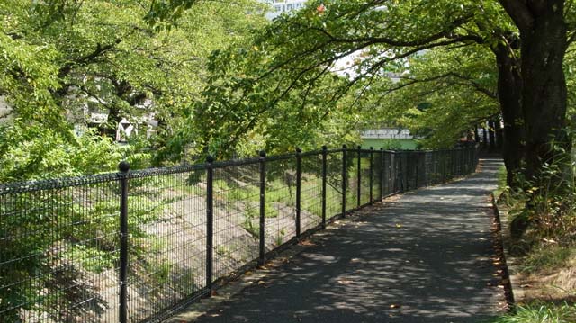 f:id:riyot:20130924222124j:image:w300