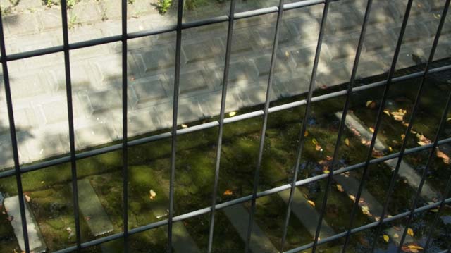 f:id:riyot:20130924222126j:image:w300