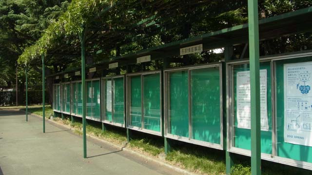 f:id:riyot:20130924222132j:image:w300