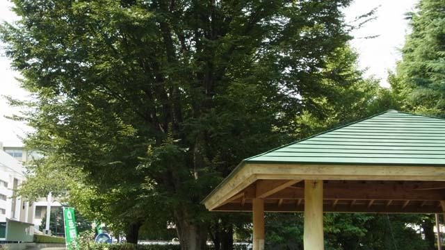 f:id:riyot:20130924222136j:image:w300