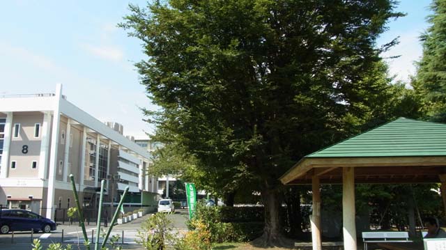 f:id:riyot:20130924222150j:image:w300