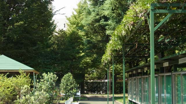 f:id:riyot:20130924222154j:image:w300