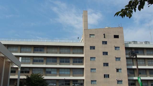 f:id:riyot:20130924222216j:image:w300