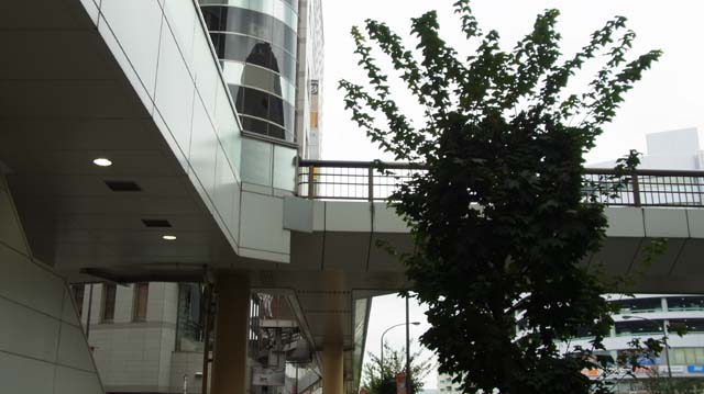 f:id:riyot:20130924222310j:image:w300